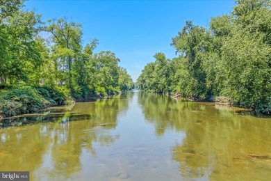 Enjoy breathtaking river views from your own treetop retreat - photo 42