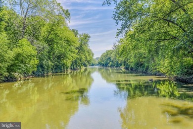 Enjoy breathtaking river views from your own treetop retreat - photo 43
