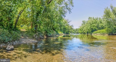 Enjoy breathtaking river views from your own treetop retreat - photo 46