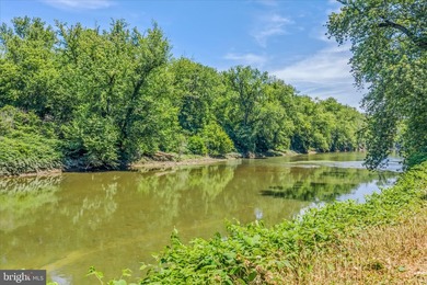 Enjoy breathtaking river views from your own treetop retreat - photo 47