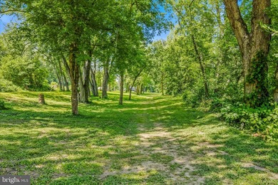 Enjoy breathtaking river views from your own treetop retreat - photo 48