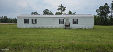 Dead Lake Home For Sale in Wewahitchka Florida