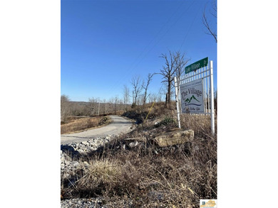 Tract 2 at The Village at Dale Hollow offers 4.581 acres with a - photo 11