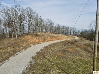 Tract 2 at The Village at Dale Hollow offers 4.581 acres with a - photo 13