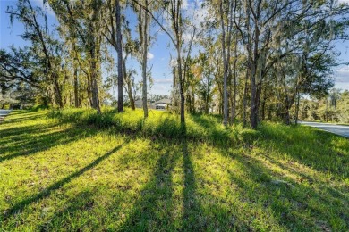 Lake Grady Lot For Sale in Riverview Florida