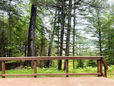Nestled among towering Northwoods pines on 1.5+ acres, this - photo 31