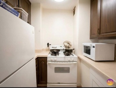 Rare High-Floor Gem near Forest Hills Gardens - Oversized Studio - photo 5