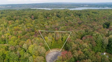 Walloon Lake Lot For Sale in Petoskey Michigan