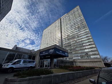 Lake Michigan - Cook County Condo For Sale in Chicago Illinois