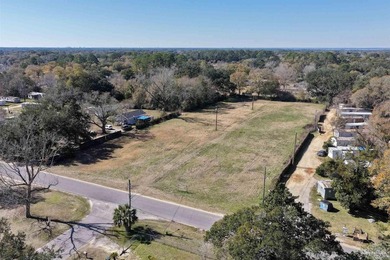 Endless possibilities with this land!! It has been previously - photo 2