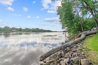 Rare opportunity on the Mississippi River! Set on a beautiful - photo 44