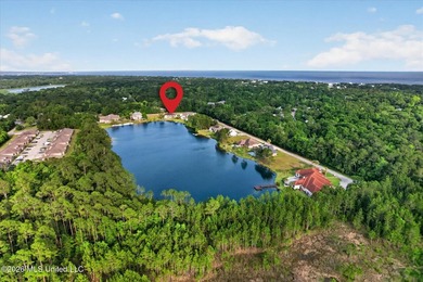 GULF COAST HIDDEN GEM ON A PRIVATE LAKE Welcome to this stunning - photo 50