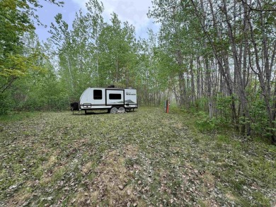 Lake Acreage For Sale in Crystal Falls, Michigan