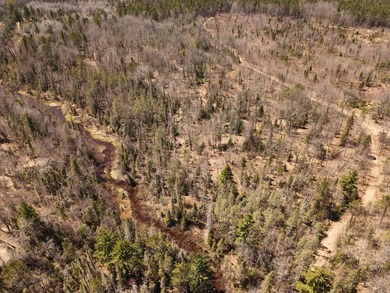 Beautiful 15.58-acre Northwoods parcel featuring extensive - photo 11