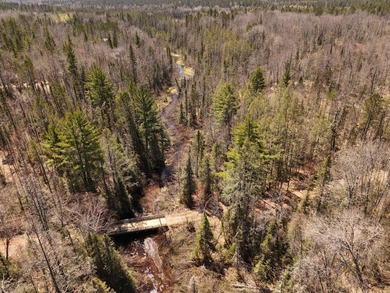 Beautiful 15.58-acre Northwoods parcel featuring extensive - photo 12