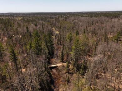 Beautiful 15.58-acre Northwoods parcel featuring extensive - photo 13