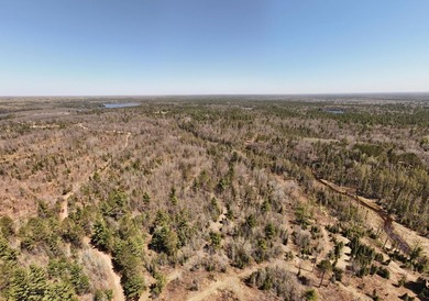 Beautiful 15.58-acre Northwoods parcel featuring extensive - photo 14