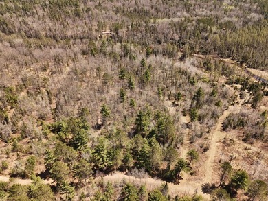 Beautiful 15.58-acre Northwoods parcel featuring extensive - photo 15