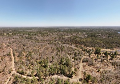 Beautiful 15.58-acre Northwoods parcel featuring extensive - photo 16