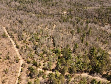 Beautiful 15.58-acre Northwoods parcel featuring extensive - photo 17