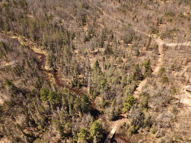 Beautiful 15.58-acre Northwoods parcel featuring extensive - photo 18