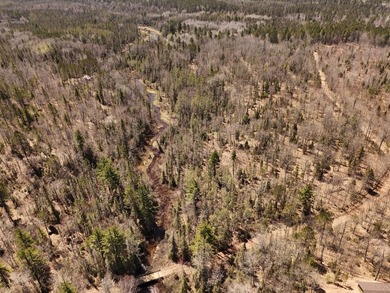 Beautiful 15.58-acre Northwoods parcel featuring extensive - photo 19