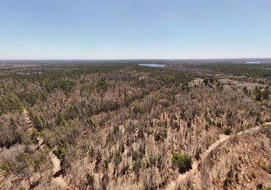 Beautiful 15.58-acre Northwoods parcel featuring extensive - photo 20
