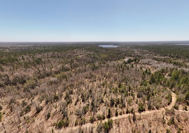 Beautiful 15.58-acre Northwoods parcel featuring extensive - photo 21