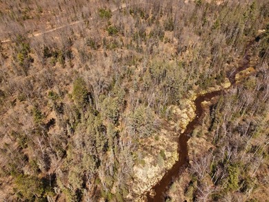 Beautiful 15.58-acre Northwoods parcel featuring extensive - photo 22