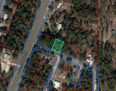 WILLISTON HIGHLANDS GOLF & COUNTRY CLUB PAVED ROAD BUILDING LOT - photo 2