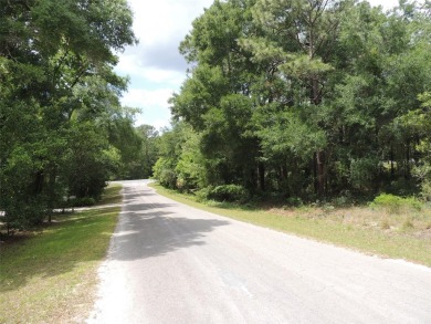 WILLISTON HIGHLANDS GOLF & COUNTRY CLUB PAVED ROAD BUILDING LOT - photo 3