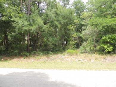 WILLISTON HIGHLANDS GOLF & COUNTRY CLUB PAVED ROAD BUILDING LOT - photo 4