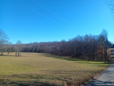 Newly surveyed and wanting your offer! - Lake Lot For Sale in Falls Of Rough, Kentucky