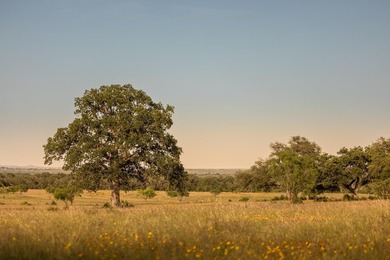 Discover an exceptional opportunity to own approximately 563 +/- - photo 1