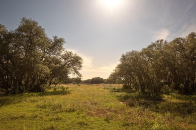 Discover an exceptional opportunity to own approximately 563 +/- - photo 9