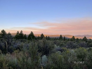 Very attractive, large .97 acre parcel with extremely beautiful - photo 12