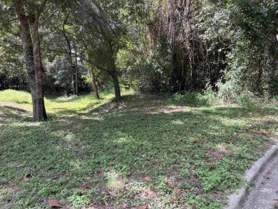 (private lake, pond, creek) Lot For Sale in Tallahassee Florida