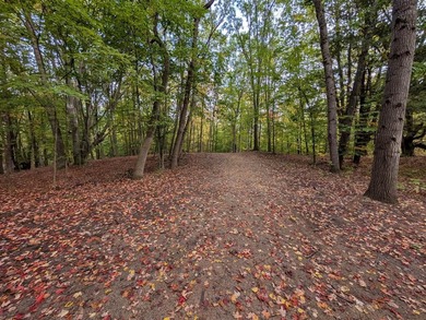 Whiskey Creek Lake Lot For Sale in Custer Michigan