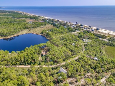 (private lake, pond, creek) Lot For Sale in Alligator Point Florida