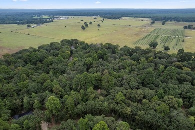 Nestled within the tranquil embrace of East Texas's piney woods - photo 28