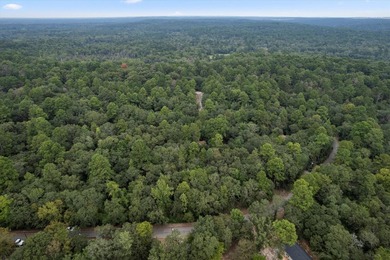 Nestled within the tranquil embrace of East Texas's piney woods - photo 29