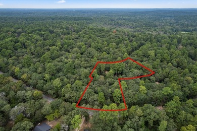 Nestled within the tranquil embrace of East Texas's piney woods - photo 30