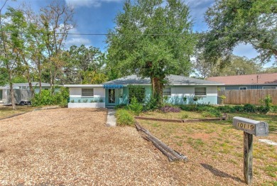 Lake Home For Sale in Tampa, Florida