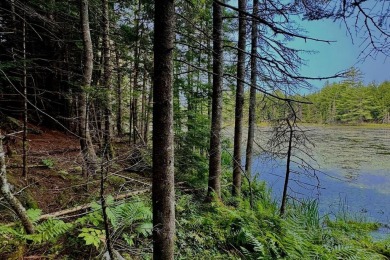 Lake Acreage For Sale in Sandwich, New Hampshire