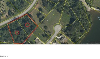This is a very easy build lot in the Docks at Caney Creek (DACC) - Lake Lot For Sale in Rockwood, Tennessee