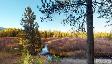 (private lake, pond, creek) Lot For Sale in Island Park Idaho