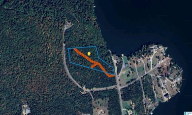 Neely Henry Lake Acreage For Sale in Ashville Alabama