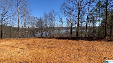 Lake Acreage For Sale in Ashville, Alabama