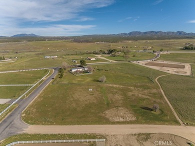358 Sky Harbor and Lakefront - photo 13