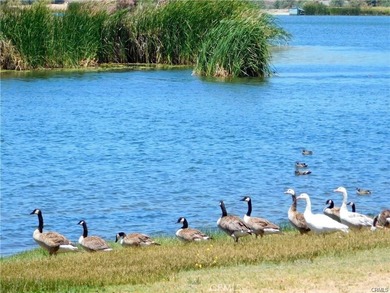 358 Sky Harbor and Lakefront - photo 23